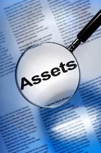 CATALOG OF ASSET SEARCH SERVICES REVISED 01/18/2018 CheckMate Investigative