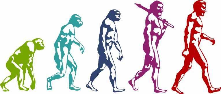 The ORSA evolutionary journey