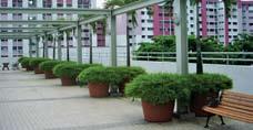 5 million (Singapore) Pte Ltd as at 26 December 2008 Annual Rental S$934,000 S$910,000 S$1,010,000 S$1,173,000 No.