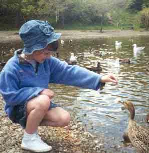Table of Contents Photo: Child feeding ducks at Bowring Park Photo Credit: Trudy Finlay Photo: Grand Concourse walking trail. Photo Credit: Grand Concourse Executive Summary...................................2 Foreward.