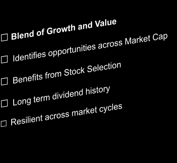 Size (Market Cap) Fund Type Investment