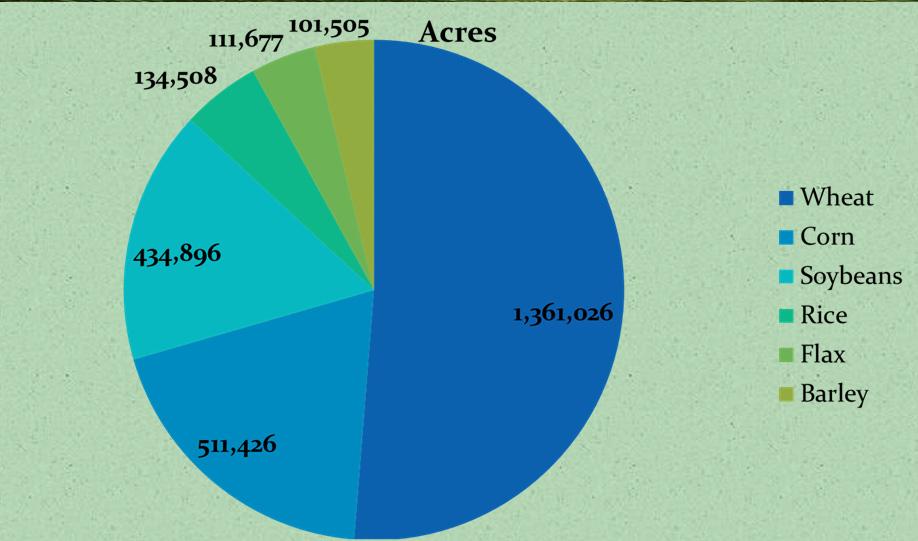 Top 6 Crops Organic/Transition to Organic Crops Insured 2004-2011 Risk 29 New Crops with Organic Prices for 2013 Avocados,