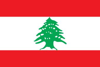 Lebanon Single Strategic Framework 2014-2016 Justice and security systems reform Reinforcing scoial cohesion, promoting sustainable economic development and protecting vulnerable groups Promotion of