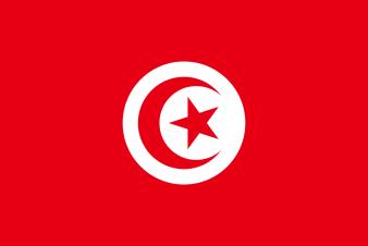 Tunisia Single Strategic Framework 2014-2015 Socio-economic reforms for inclusive growth, competitiveness and integration Strengthening fundamental elements of democracy Sustainable regional and