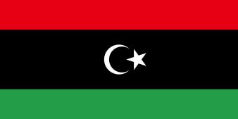 Libya Single Strategic Framework 2014-2015 Democratic governance Youth: active citizen citizenship and socio-economic integration Health + Civil