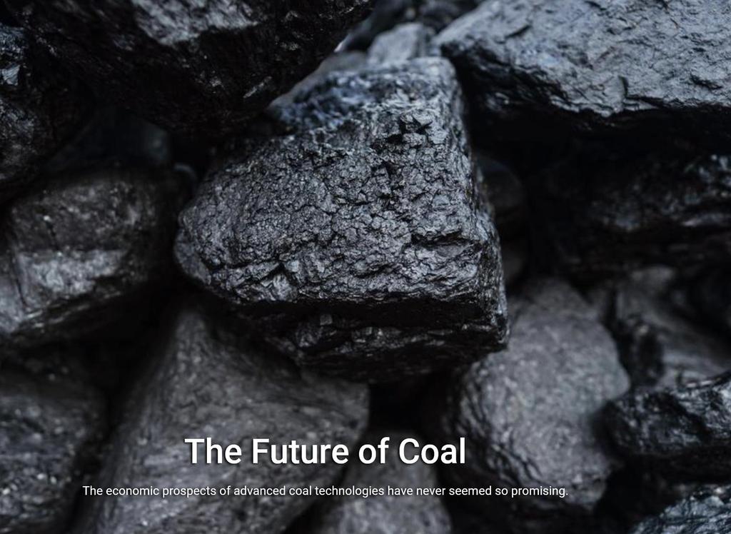 6 OUR BUSINESS Coal is a practical energy option for fast-growing economies like China and India, which don't have large natural gas resources.
