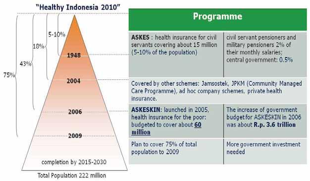 Figure 1.1: Budgetary Overview of Healthy Indonesia 2010 Source: Indonesian Health Department The arrival of 2010 marks the near completion of the Healthy Indonesia 2010 prog ram implementation.