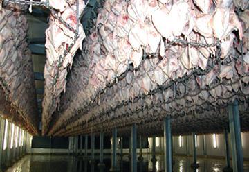 hatcheries 30m birds on the ground 5 feed mills 1,1m tons per year