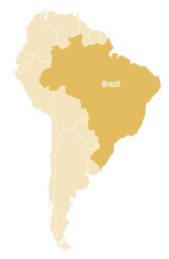 About Brio Gold Focused in precious metals assets in the Americas with the objective of becoming the next leading mid-tier gold producer Subsidiary of Yamana created in Dec 2014 Holds three Brazilian