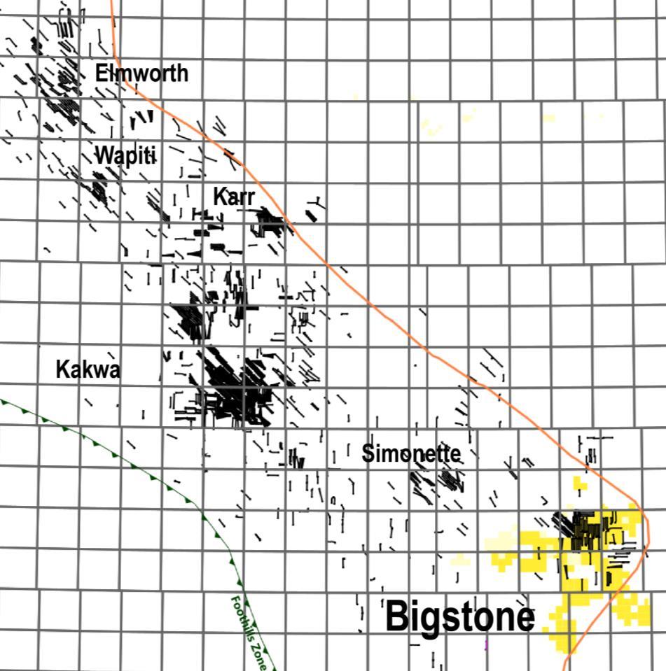 BIGSTONE SOUTHERN END OF PROLIFIC LIQUIDS RICH MONTNEY TREND Ticker Symbol CORPORATE INFORMATION TSX:DEE Basic Shares Outstanding (mm) 185.