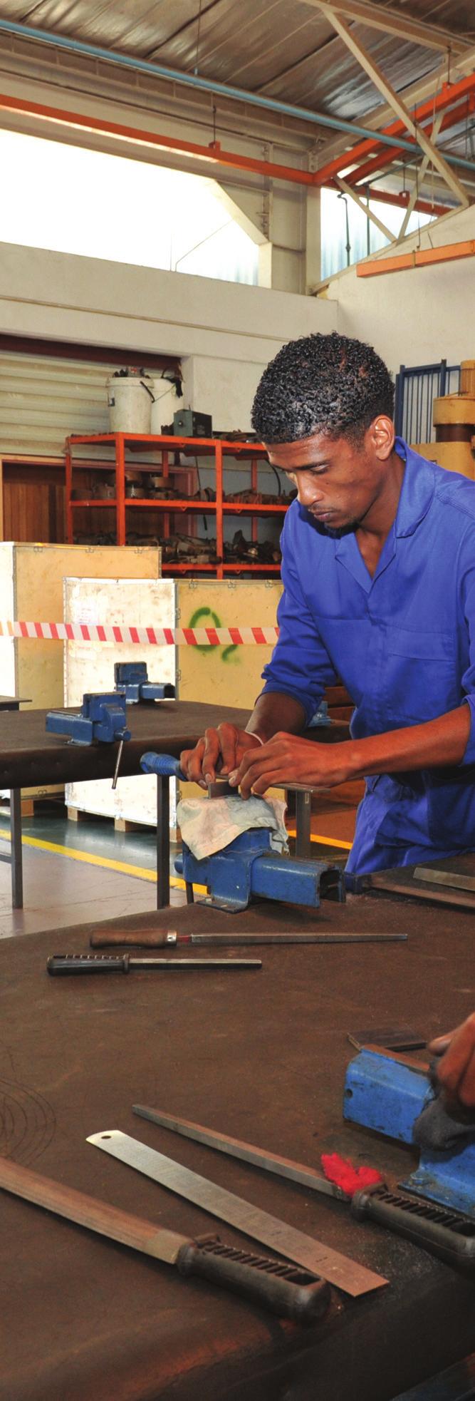 SOUTH AFRICA YEARBOOK 2013/14 but the departments of trade and industry, fi nance and public works are also centrally involved in the council.