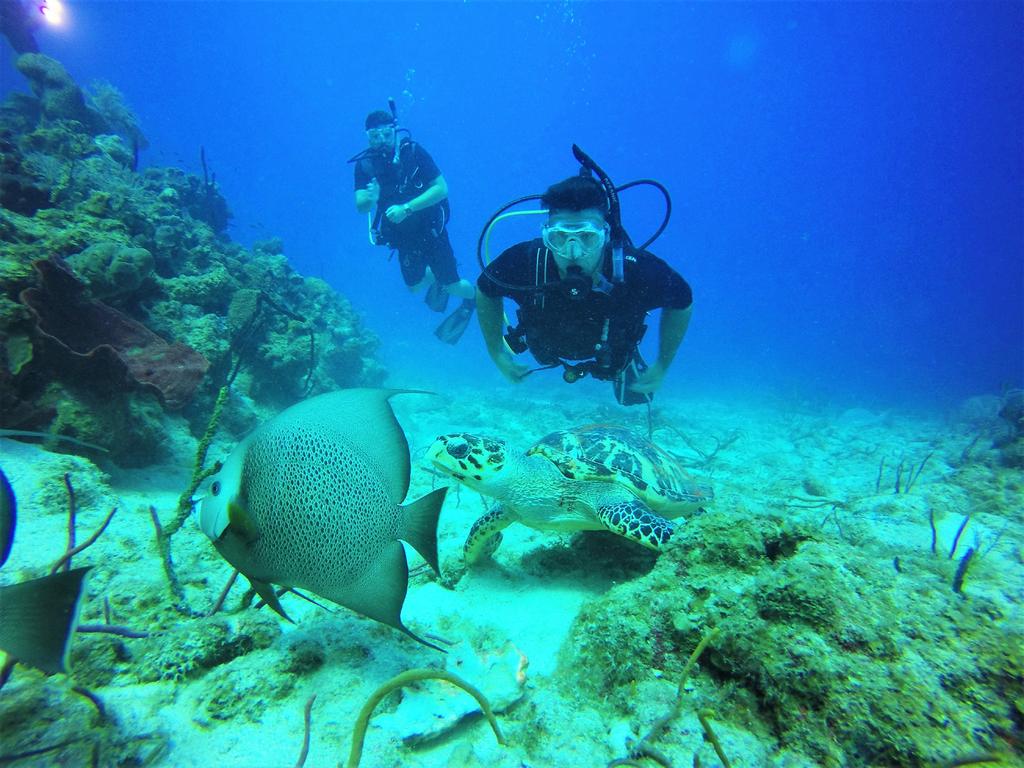 The Cayman Islands is a premier scuba diving destination and many of our staff obtain their PADI diving license and enjoy diving on the weekend.