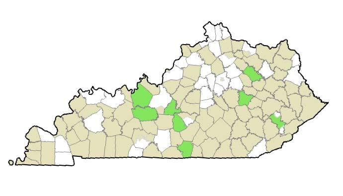 Within Kentucky, many areas of the state are considered medically underserved, shown in the map below.