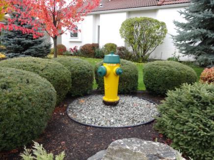 Site Improvements Reserve Component (6): Landscape and Irrigation This component includes green space (sod), shrubs, perennial plants, a few mature trees, and the underground sprinkler system, but