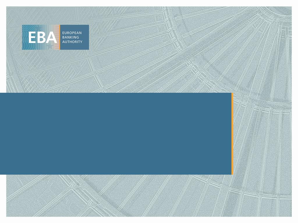 EBA Call for Evidence and Discussion Paper on SMEs Preliminary analysis for the SME