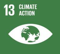 Goal 13 - Climate action Target 13.1 - Resilience and adaptive capacity Target 13.1 - Resilience and adaptive capacity 13.1.1 Countries with disaster risk reduction strategies Legislative/regulatory provisions for managing disaster risk Number of countries with 'Yes' Yes (15) 19 (15) 13.