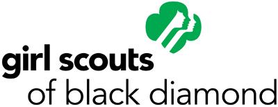 Girl Scout SUMore A short and snappy training for use in Service Unit Meetings Training Cover Your Assets Financial Responsibility for Troop Volunteers Length of Session: 45 minutes Materials Needed: