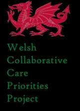 ICP in Wales Areas of potential concern Evidencing senior clinical responsibility consultant / GP sign off?