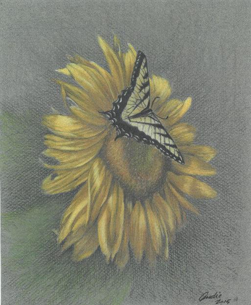 CRDA Newsletter NOVEMBER 2017 Page 7 Program Information The program at our November 11 chapter meeting will be Sunny, a lovely sunflower and butter fly colored pencil project designed and taught by