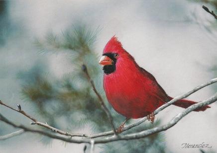 00 The Cardinal, Sunday, January 14, 2018 $140.
