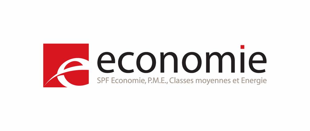 Service public fédéral «Économie, PME, Classes moyennes et Énergie» Direction générale «Statistique et Information