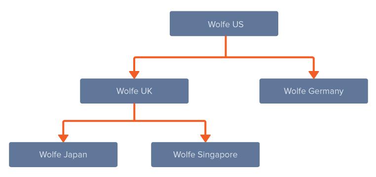 Understanding Cumulative Translation Adjustment (CTA) 66 The Wolfe UK balance sheet looks like the following: Amount (GBP) Rate Type Rate Calculation Consolidated Amount (USD) Assets 250 Current 2
