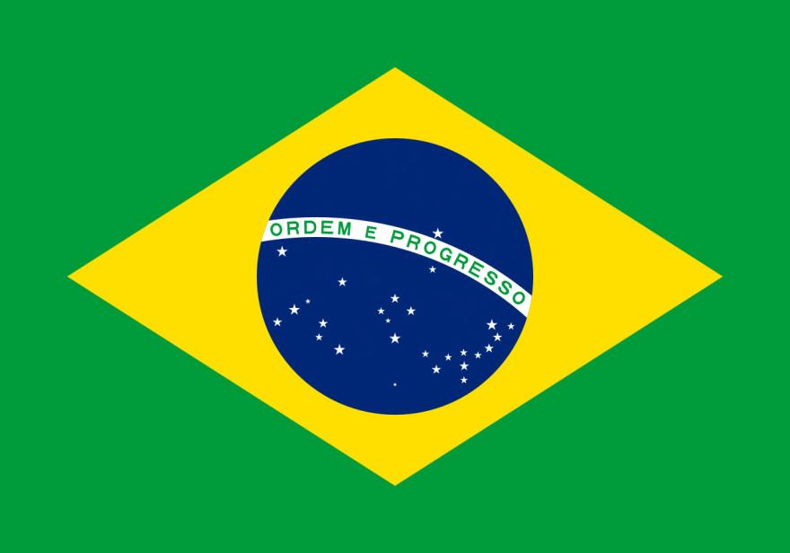 Brazil Franchise A system where franchisor licenses the use of a trademark or patent Grants exclusive or semiexclusive right to distribute products or