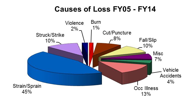 Figure 7: Average Cost per Claim FY05 FY14 The causes of loss for workers compensation claims are depicted in Figure 8.