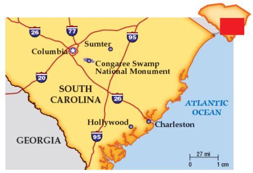 7. $903, 8.75%, 18 months 8. $4,75, 19%, 3 months Scale Drawings Find the actual distance between Columbia and Charleston. Use a ruler to Measure.