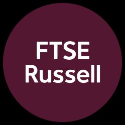 Ground Rules FTSE Shariah Global Equity