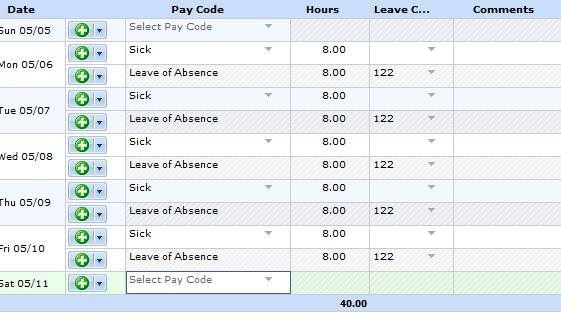 Timesheet with Protected Leave Example of