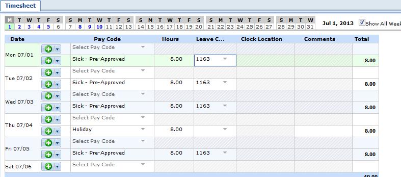 Timesheet with Protected Leave Intermittent Protected Leave o Timesheet is NOT prepopulated