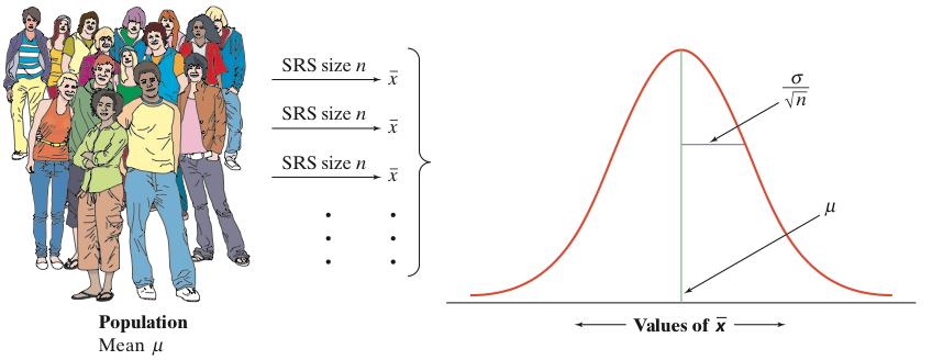 The Sampling Distribution of When we choose many SRSs from a population, the sampling distribution of the sample mean is centered at the population mean µ and is less spread out than the population