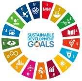 Ⅲ- Direction of New Medium-Term Management Plan SDGs as Management Strategy Established SDGs Promotion Committee to solve social issues through our group business in financial and capital markets.