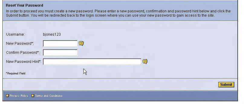 You will next view a screen that provides your username and password hint.