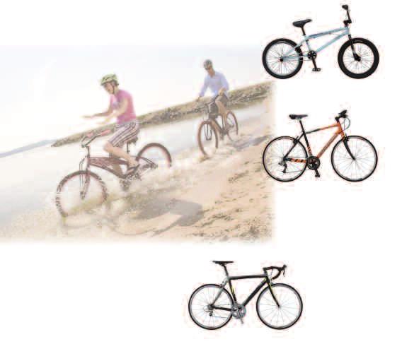 Dorel s strategic approach to the bicycle industry ensures a clear focus on the two distinct distribution channels the Independent Bicycle Dealers (IBD) and mass merchant