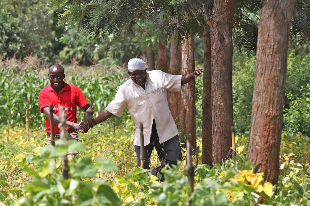 Weathering the Risks: Scalable Weather Index Insurance in East Africa Having enough food in East Africa depends largely on the productivity of smallholder farms, which in turn depends on farmers