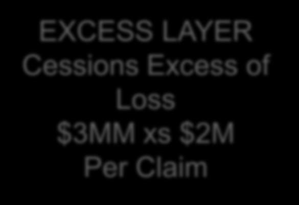 9MM xs $100K Per Claim BCx Per Claim