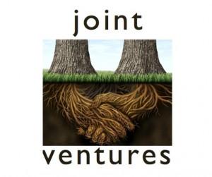 Joint Ventures: 25 FAQs - a guide for CEOs and CFOs Joint Ventures 25 FAQs a guide for CEOs and CFOs 1 What is a Joint Venture?