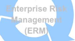 Framework of the Mid-Term Business Plan and Group Management Enhancing Enterprise Risk Management (ERM) to realize sustainable profit growth and higher capital efficiency even in a changing