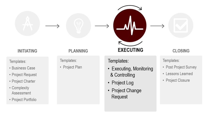 Project Execution, Monitoring and Controlling Overview During execution, monitoring and controlling, perform the project work according to the project plan and schedule to produce the desired result.