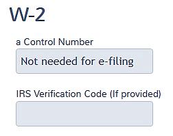 Entering W-2 Control number not needed