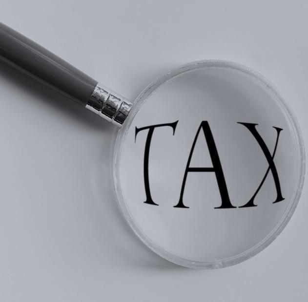 DIRECT TAX SERVICE Preparation of return under Income Tax, Wealth Tax, Property Tax etc.
