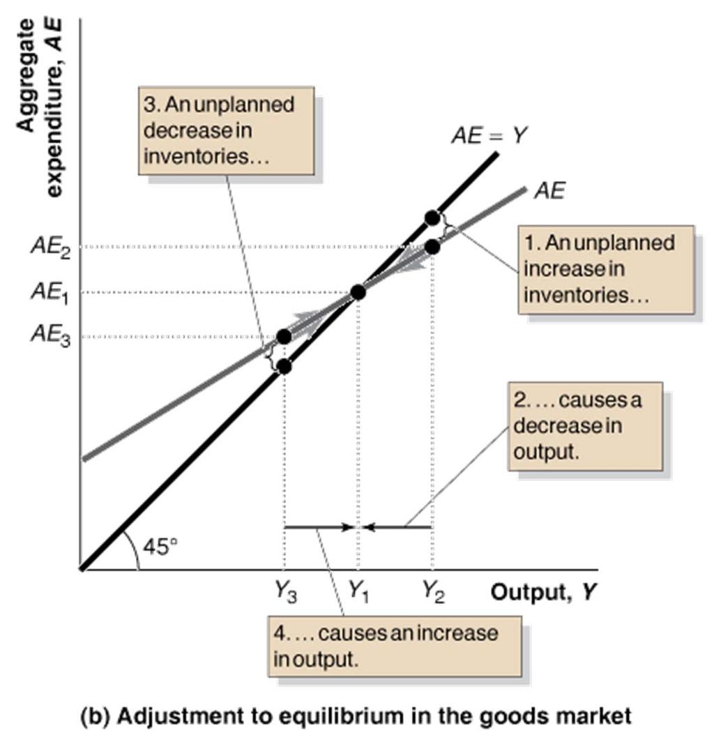 Figure 9.1 (2 of 2) Illustrating Equilibrium in the Goods Market In panel (b), if the level of output is initially Y 2, aggregate expenditure is only AE 2.
