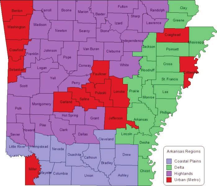 County Classifications To gain even more insight into the importance of sales tax revenue for Arkansas county governments, it is helpful to observe differences among counties, regions and economic