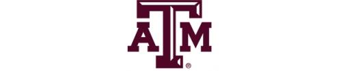 Texas A&M Health Science Center Staff Subtotal: $ 200,000 Total: $ 500,000 Faculty: 3% Merit Pool $ 1,493,057 Benefits 323,993 Faculty Subtotal: $