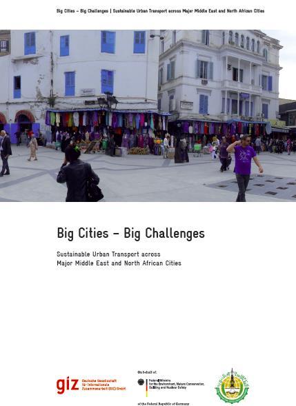 IDB in Sustainable Urban Transport Big Cities-Big Challenges
