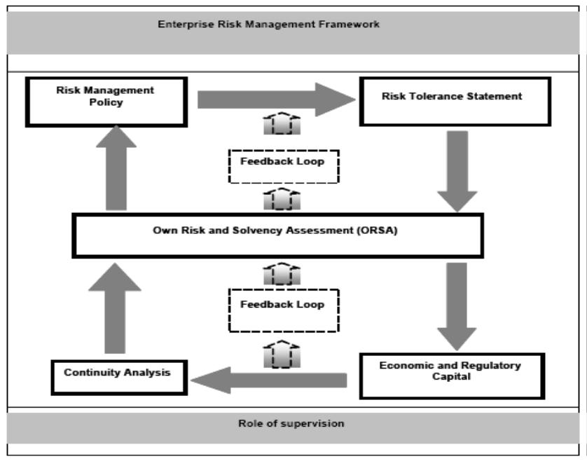ERM The IAIS Framework ERM is the process of identifying, assessing, measuring,