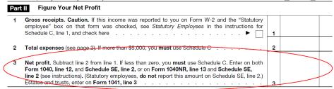 Deduction for contributions made on behalf of sole proprietor taken on Form 1040, line