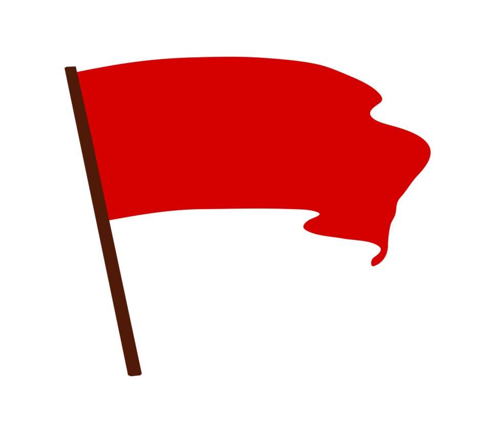 Red Flag Factor Form